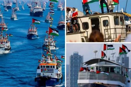 الوجه الآخر لاسطول الصمود الذي يهدف لفك الحصار عن غزة، و كيف تفاعل معه رواد المنصات الاجتماعية؟