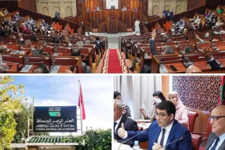 بيانا شديد اللهجة للنقابات الصحفية للترافع وطنيا ودوليا من أجل إعادة روح دولة القانون وترسيخ قواعد المؤسسات الديمقراطية بالمغرب، ومحاربة صحافة التفاهة والفضائح