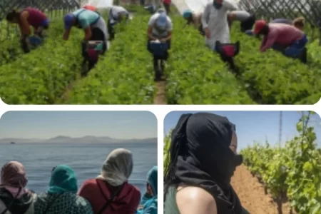 ذهب أحمر بدموعٍ مُرّة حين يتحوّل حلم ويلبا إلى كابوسٍ نسائي