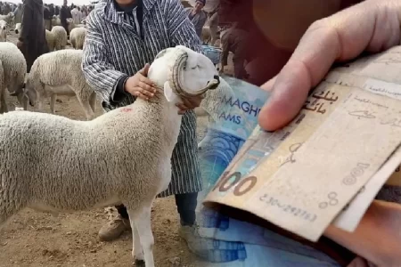 مع انطلاق العد العكسي لموعد عيد الاضحى، هذه قراءات المغاربة و توقعاتهم لاسعار الاضاحي خلال الايام القادمة